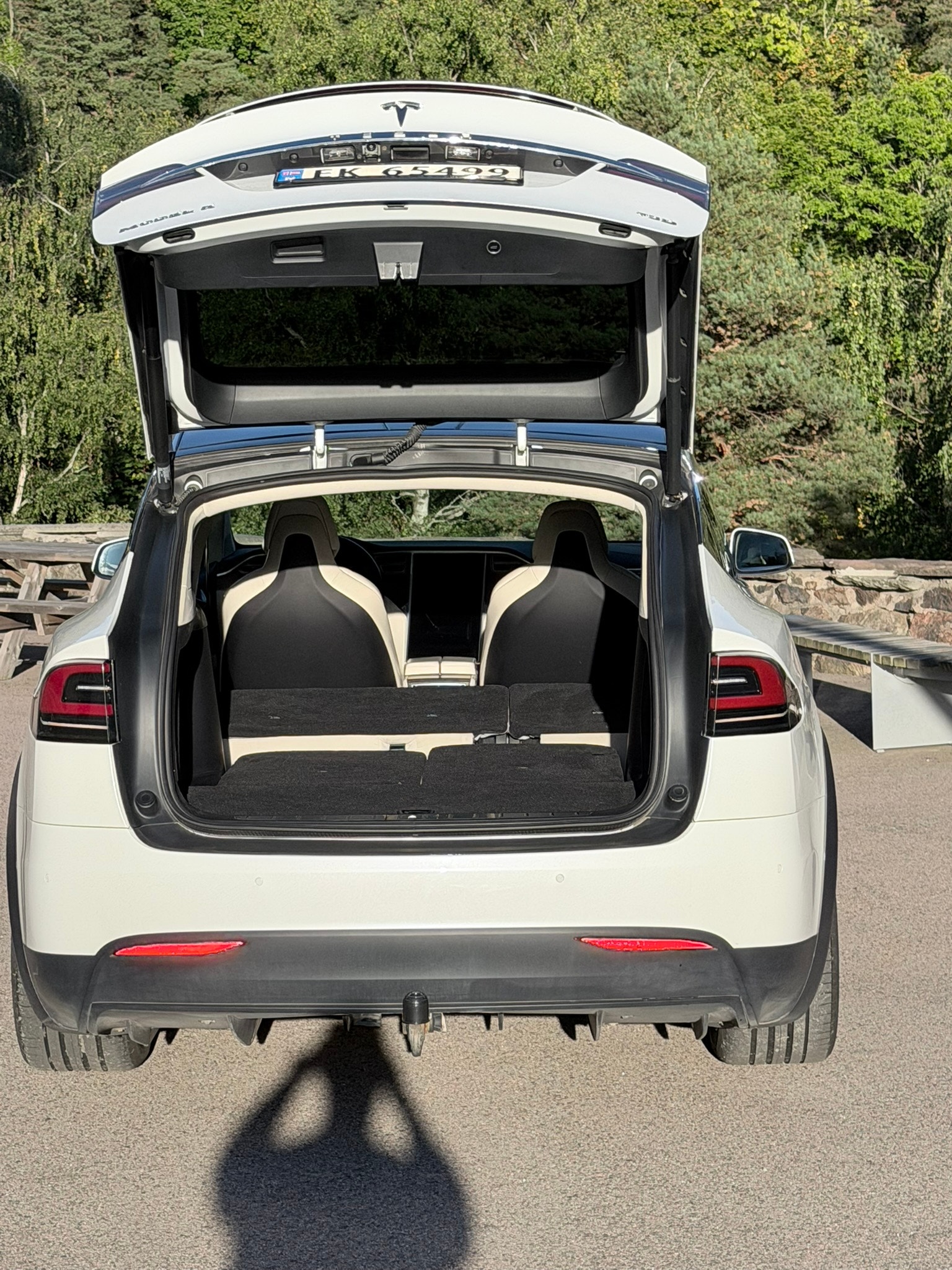 Tesla Model X 75D, 525hp, 2017