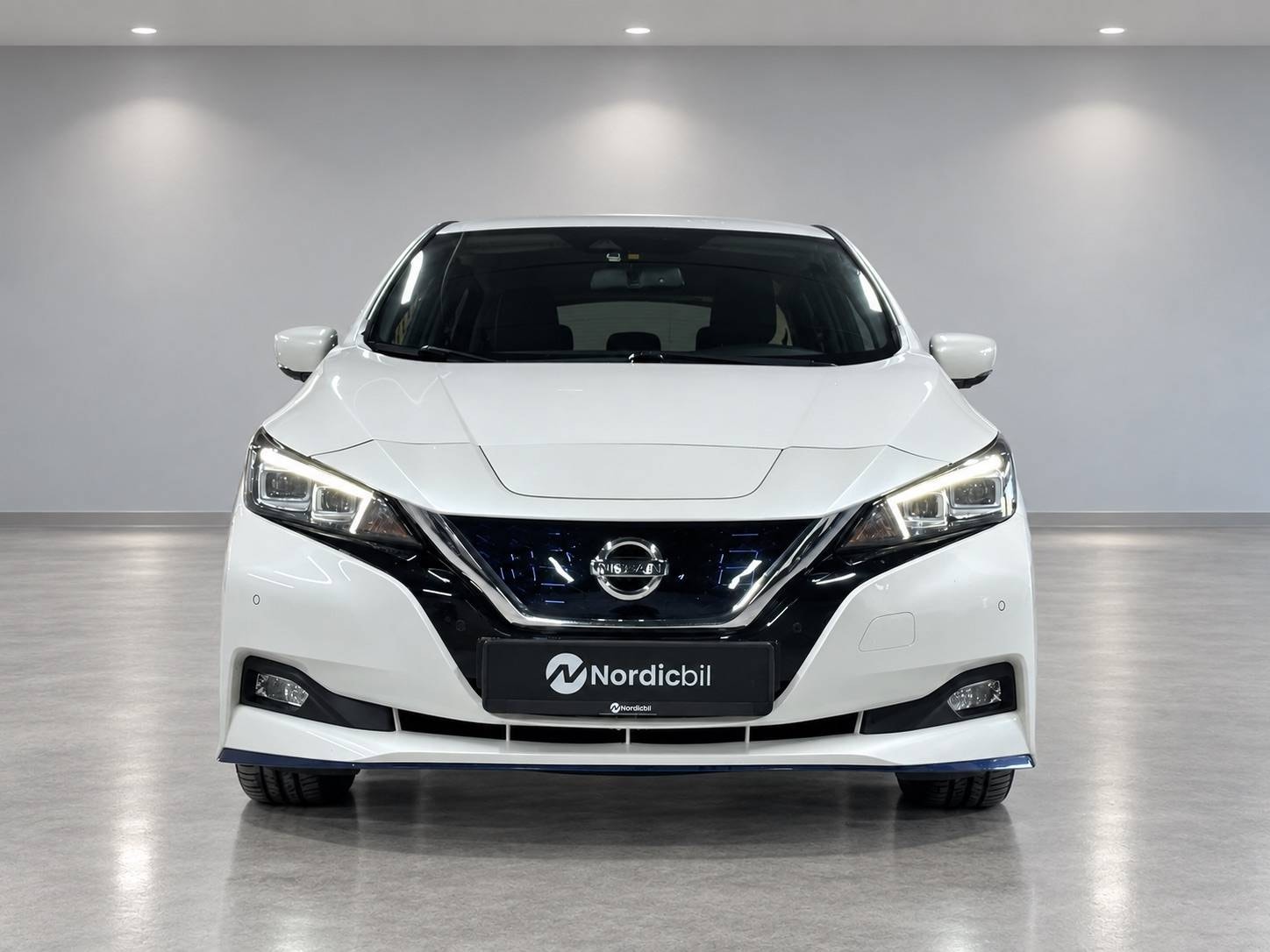 Nissan Leaf e+, 217ps, 2020