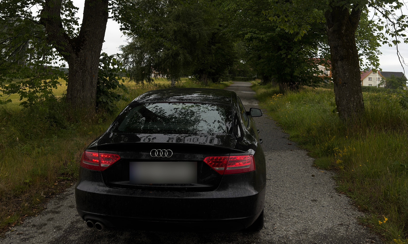 Audi A5 Sportback 2.0 TDI DPF Multitronic, 143hp, 2010