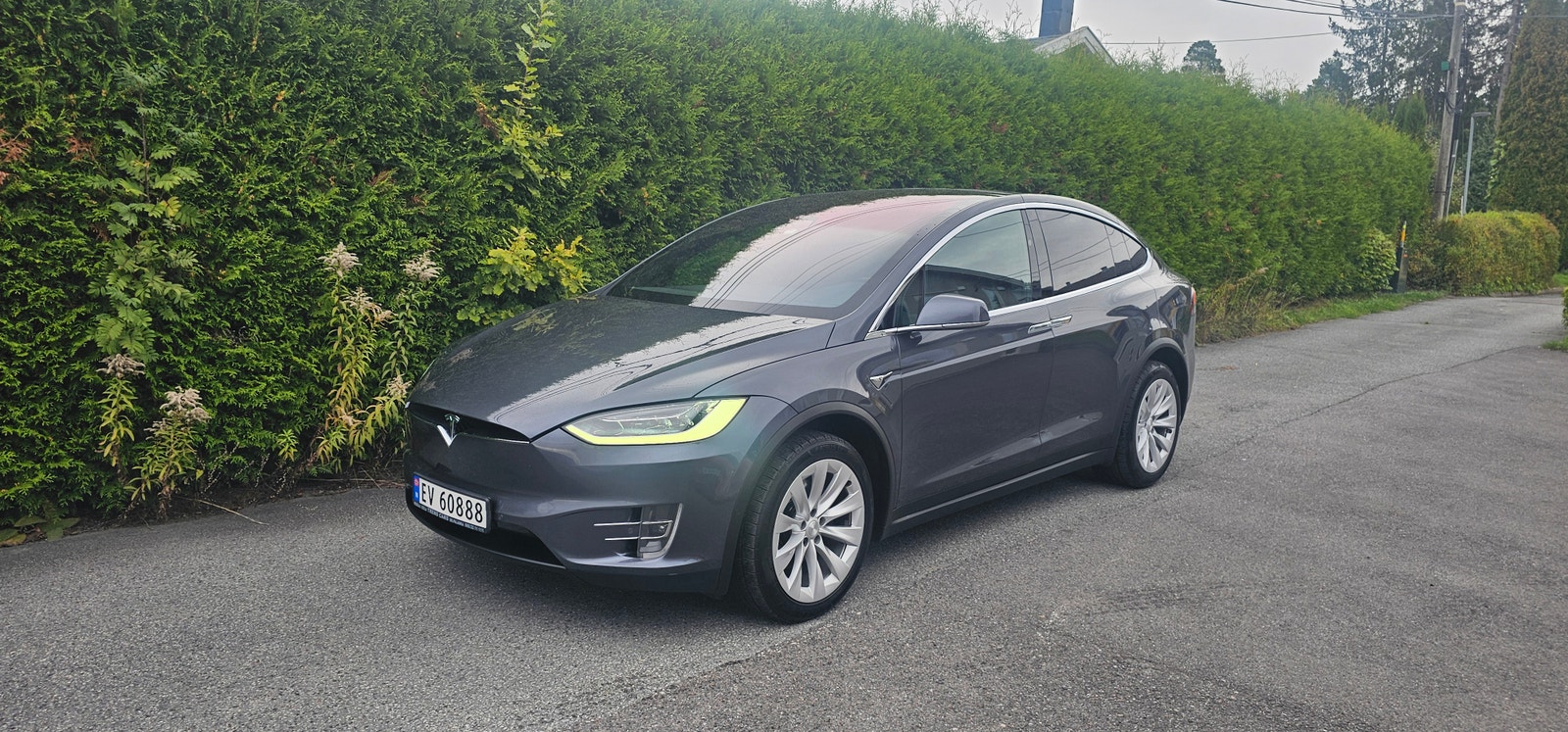 Tesla Model X 100D, 423ps, 2019