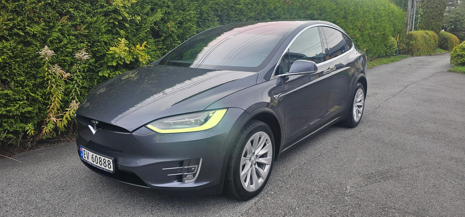 Tesla Model X 100D, 423ps, 2019