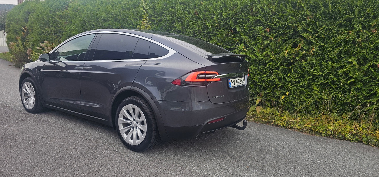 Tesla Model X 100D, 423ps, 2019