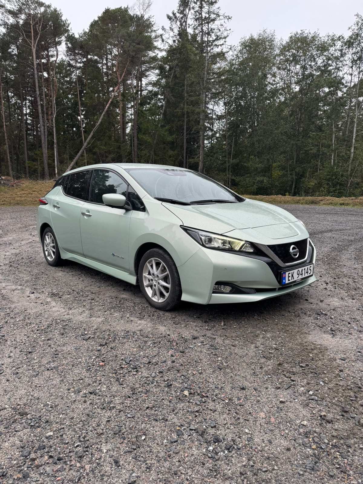 Nissan Leaf, 150ps, 2018