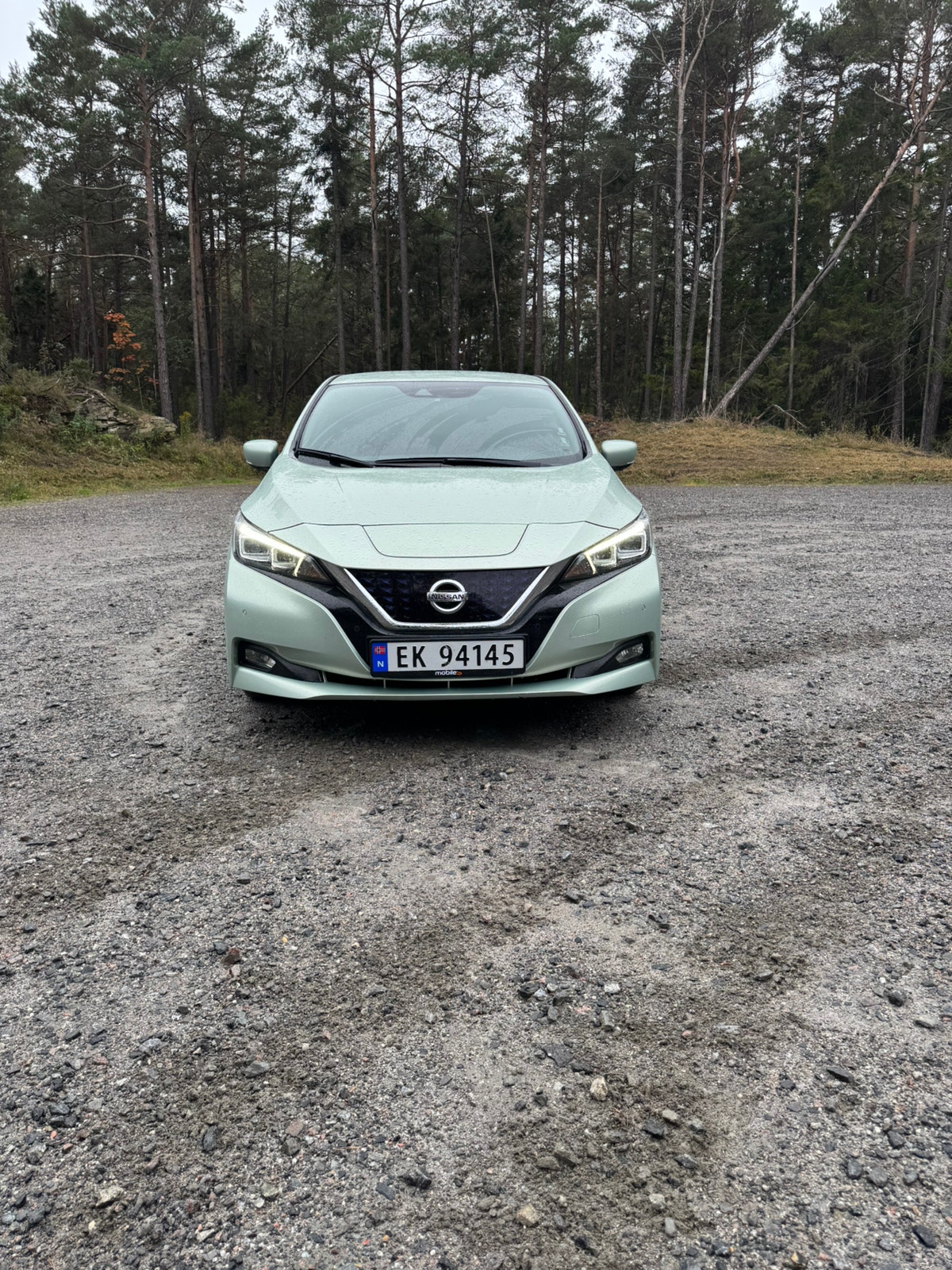 Nissan Leaf, 150ps, 2018