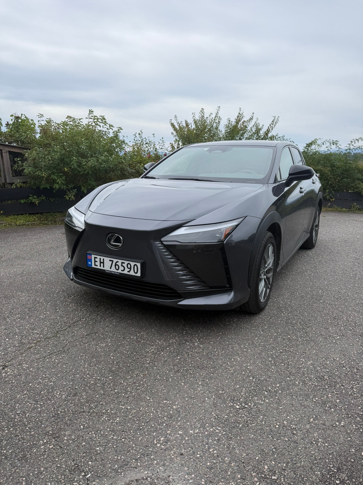 Lexus RZ 450e, 313ps, 2024