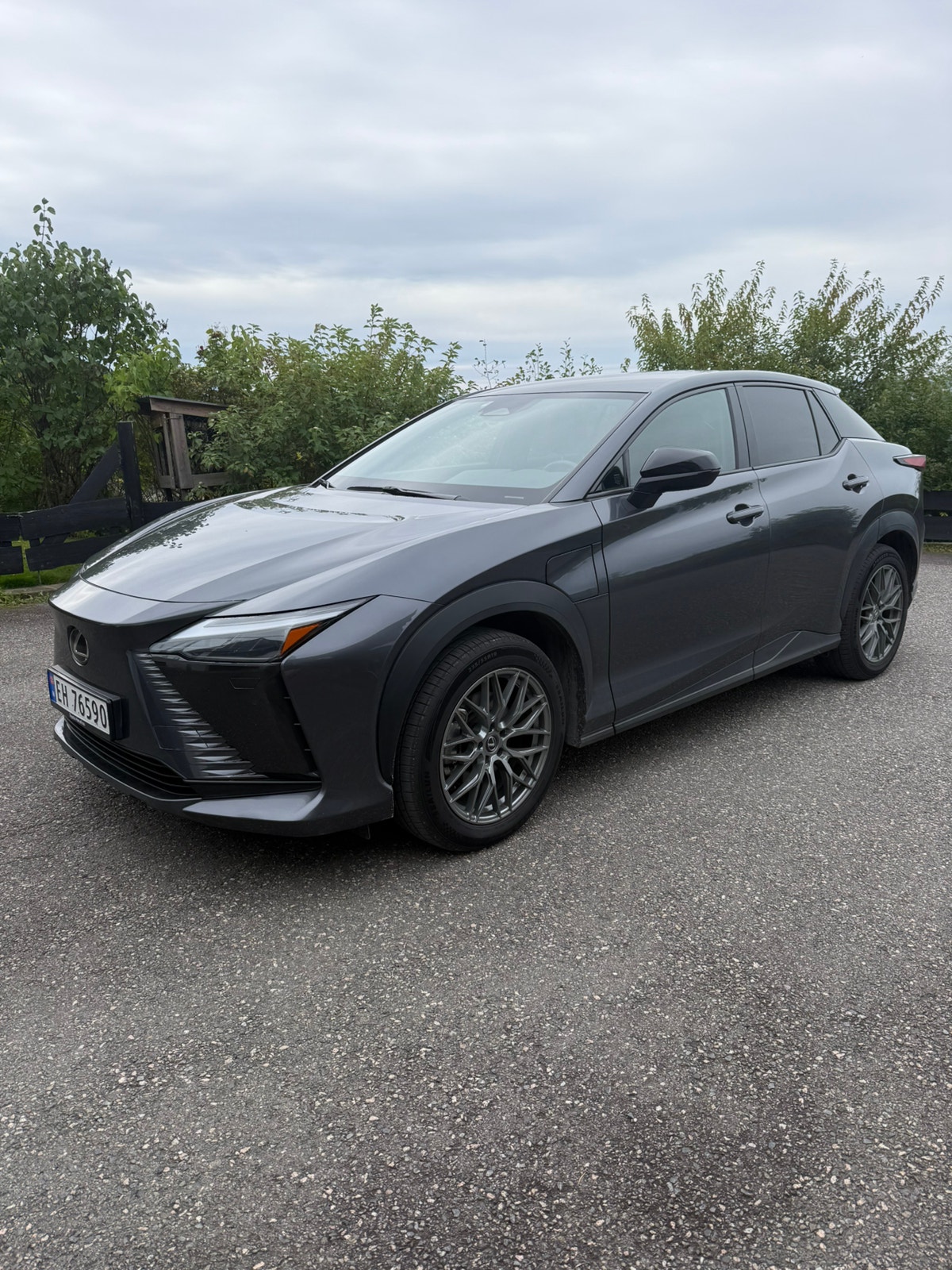 Lexus RZ 450e, 313ps, 2024