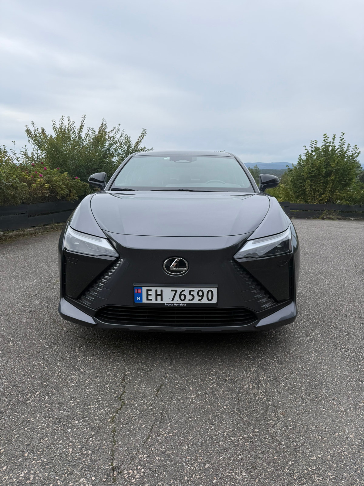 Lexus RZ 450e, 313ps, 2024