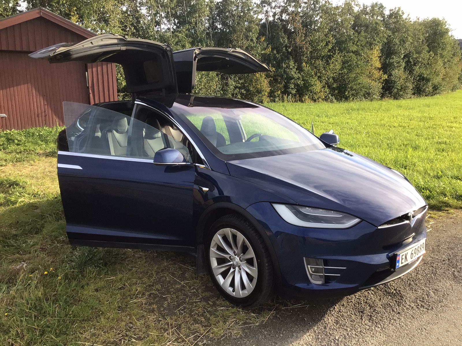 Tesla Model X 75D, 525hp, 2017