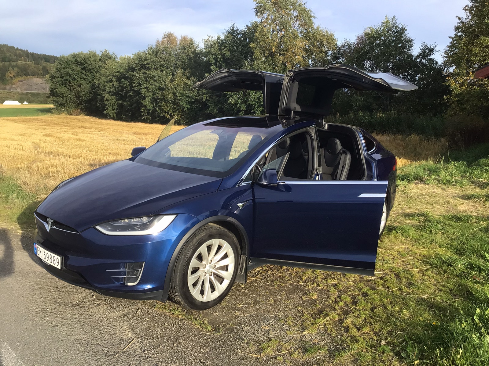 Tesla Model X 75D, 525hp, 2017