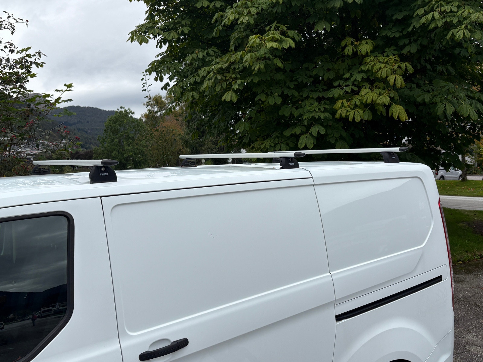 Ford Transit Custom 300 2.0 EcoBlue SelectShift, 130hp, 2020