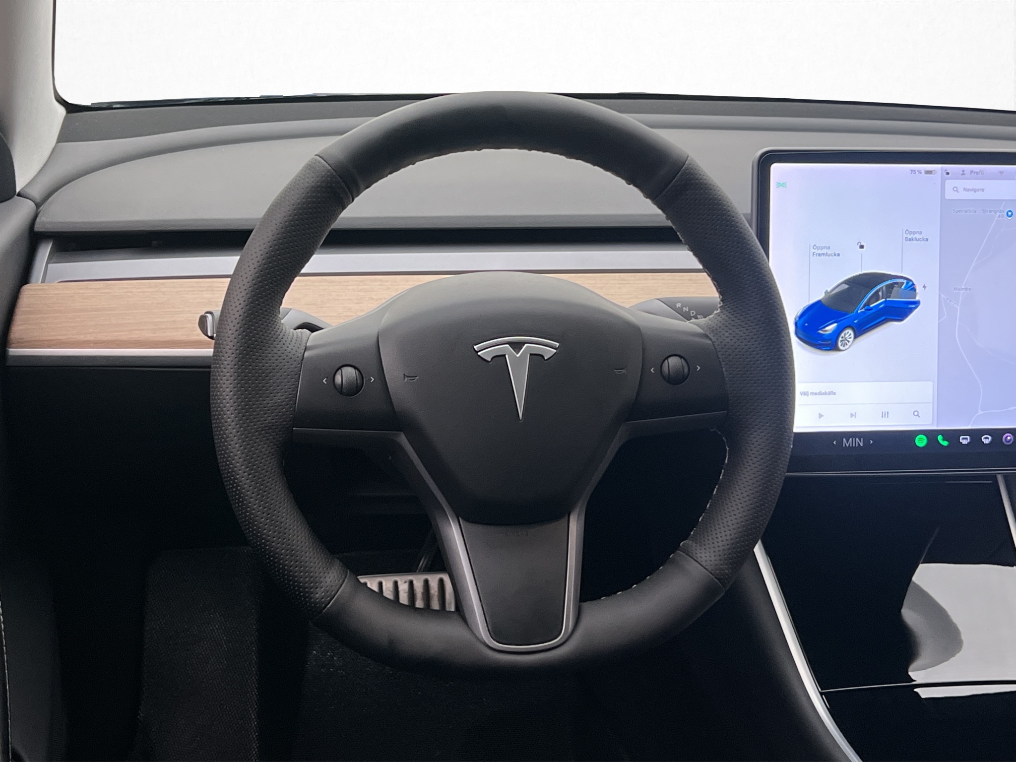Tesla Model 3 Performance, 513hp, 2020