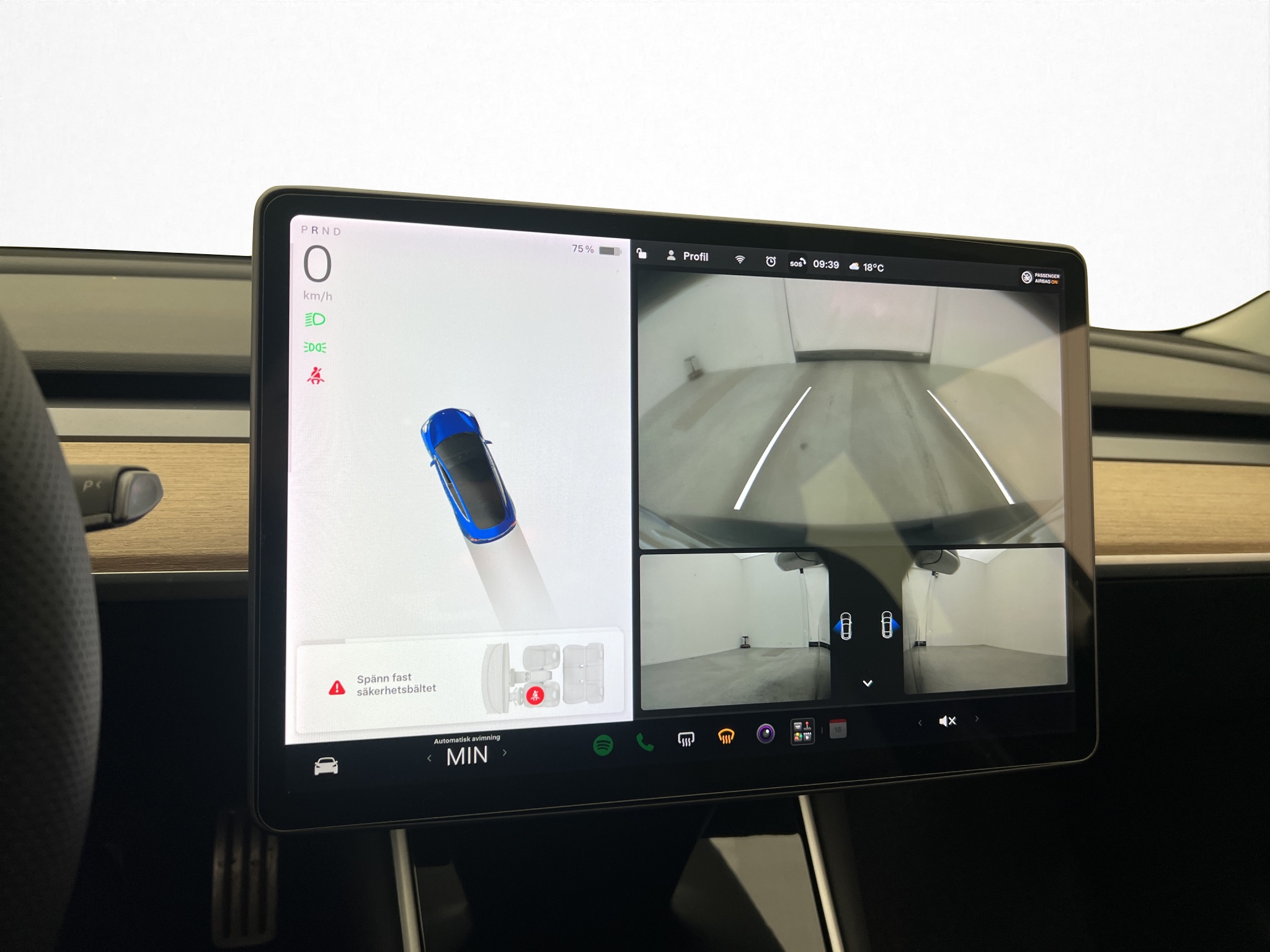 Tesla Model 3 Performance, 513hp, 2020