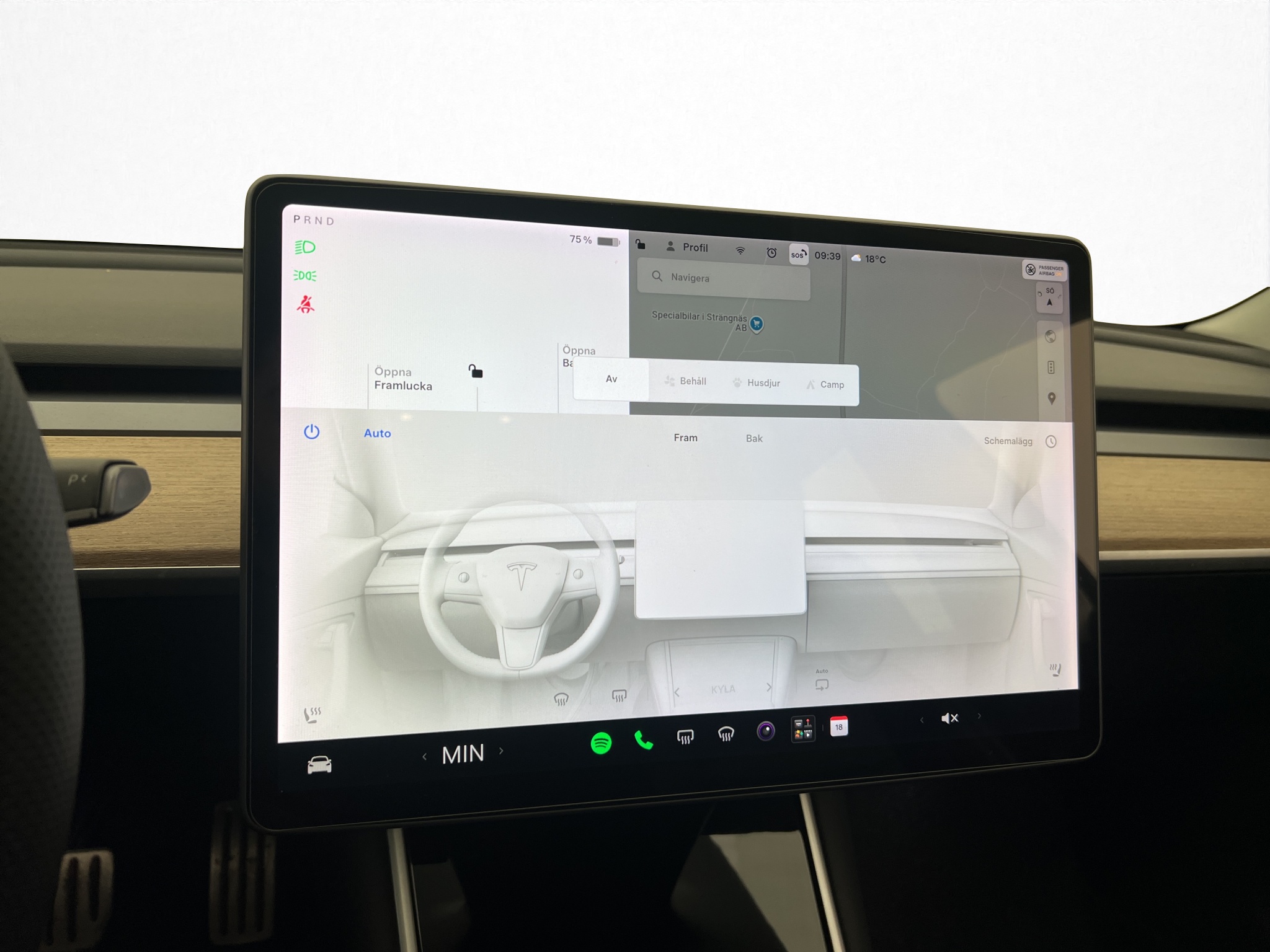 Tesla Model 3 Performance, 513hp, 2020