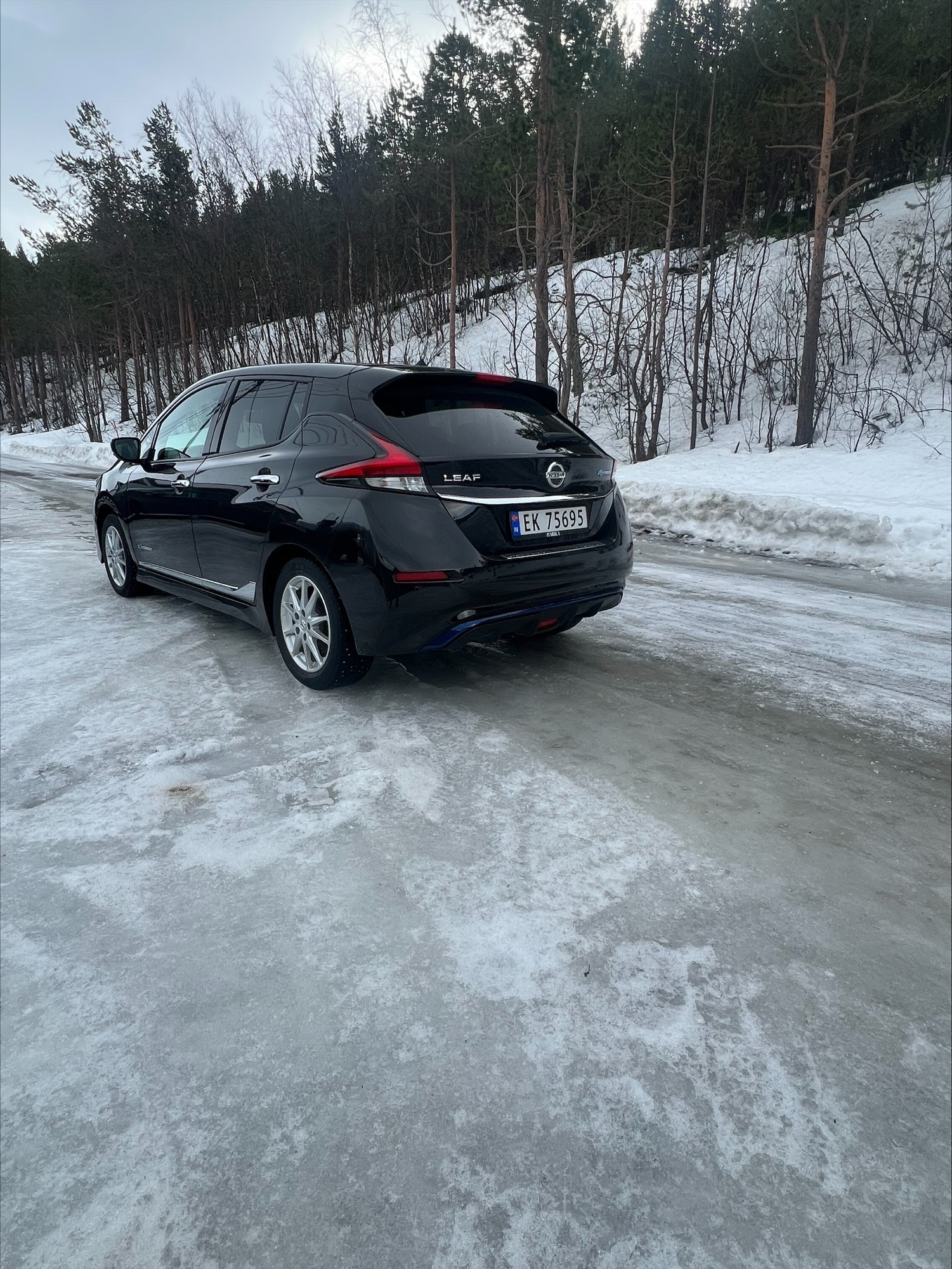 Nissan Leaf, 150ps, 2018