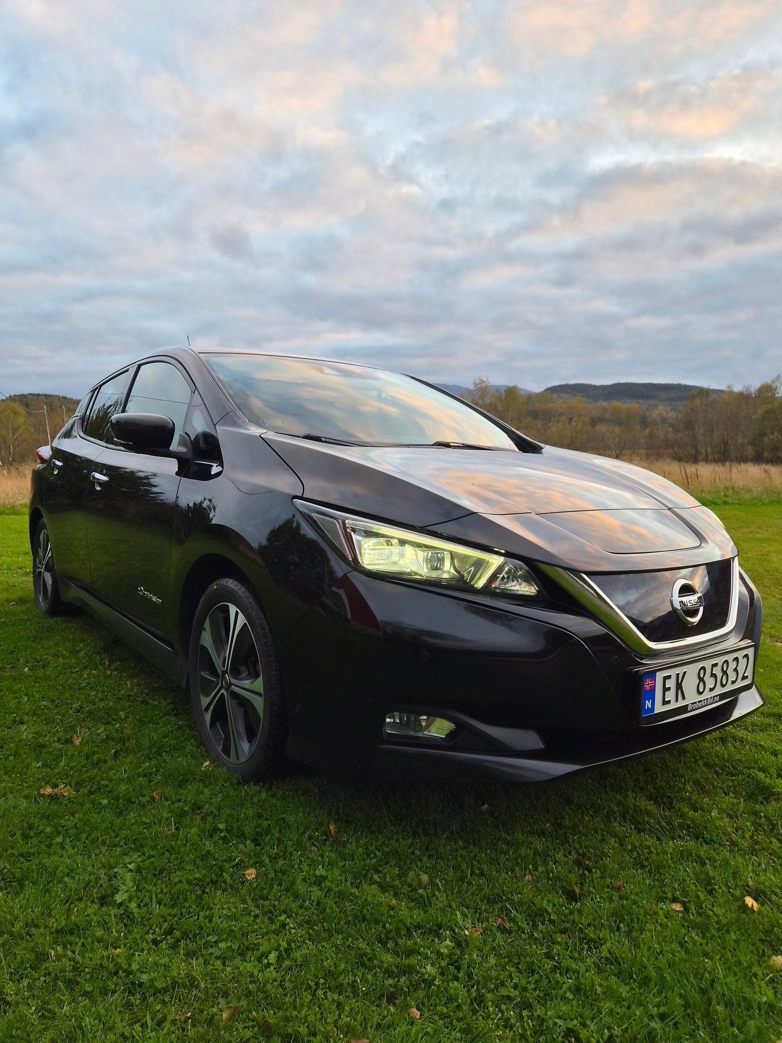 Nissan Leaf, 150hk, 2018