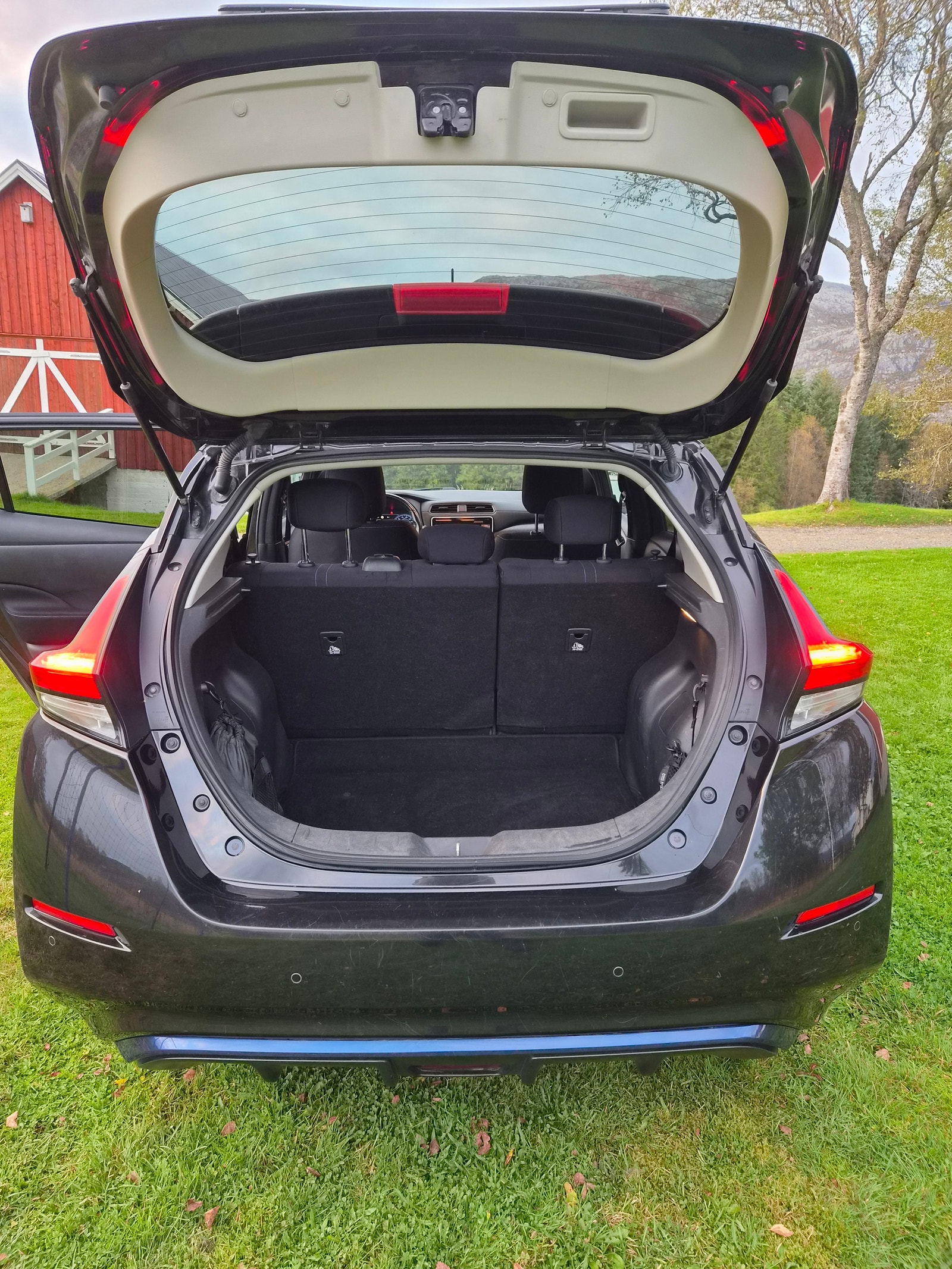 Nissan Leaf, 150hk, 2018