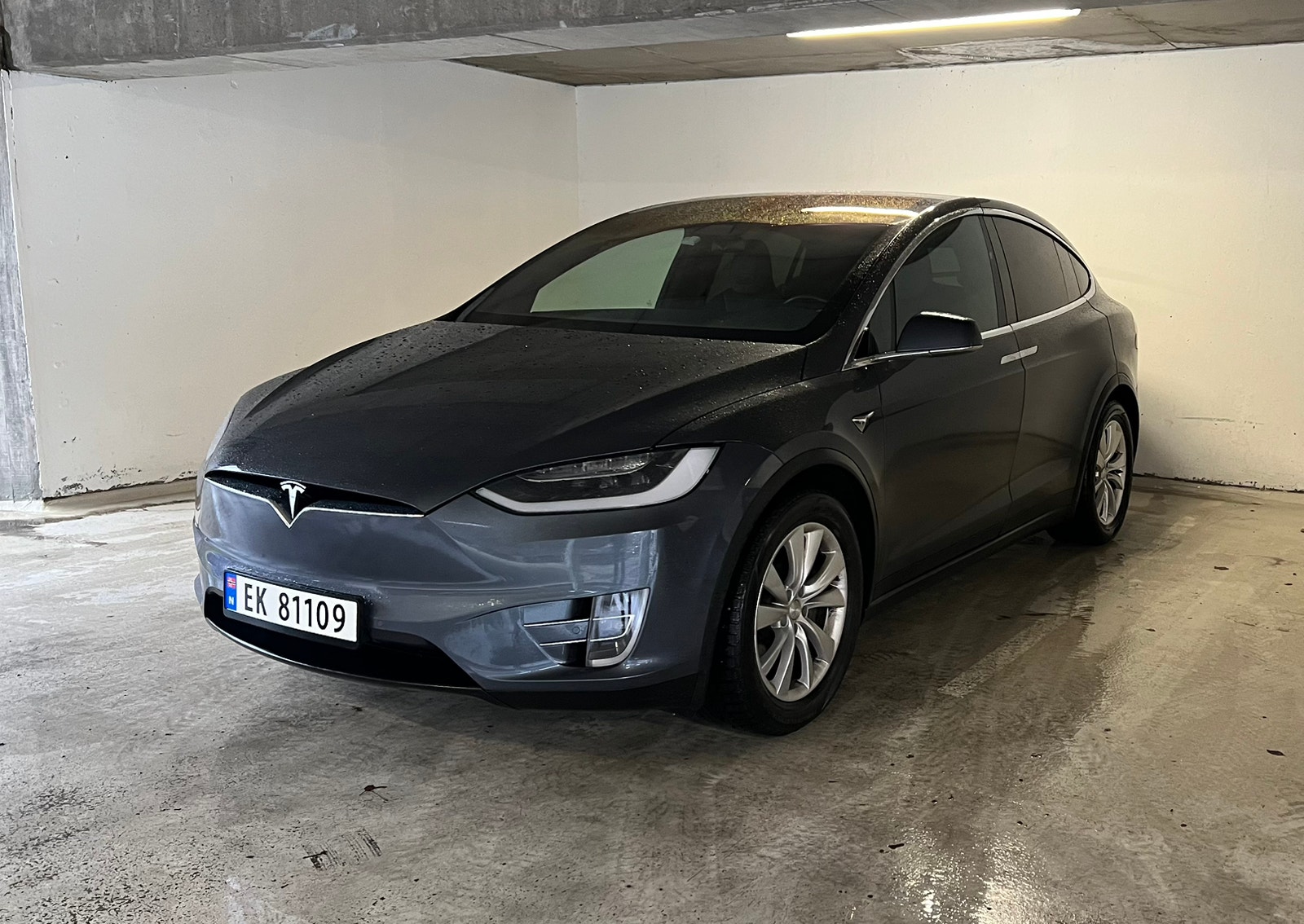 Tesla Model X 100D, 423ps, 2018