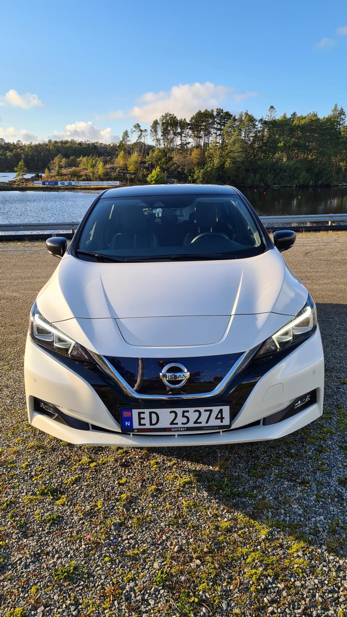 Nissan Leaf e+, 217ps, 2021