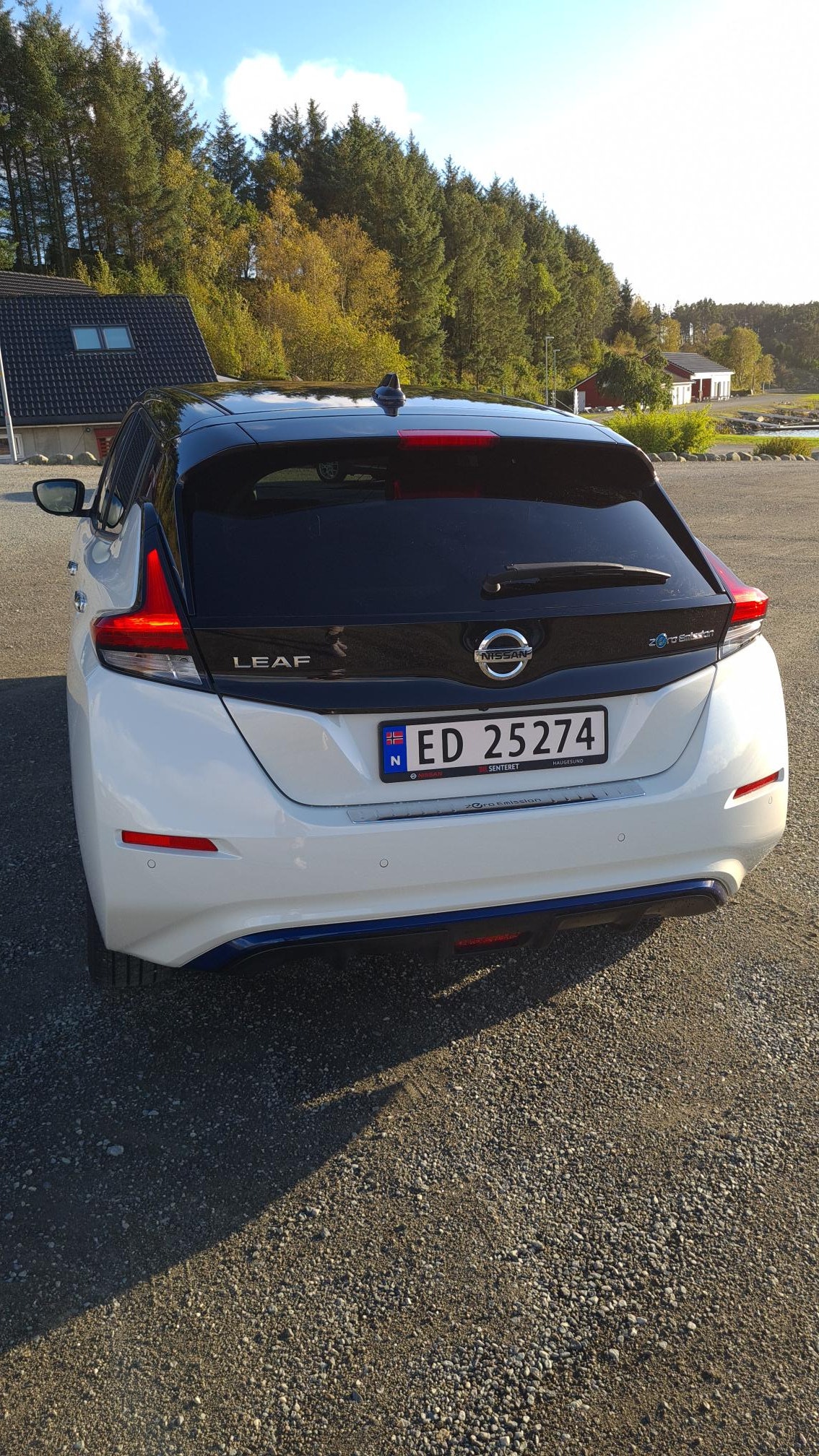 Nissan Leaf e+, 217ps, 2021