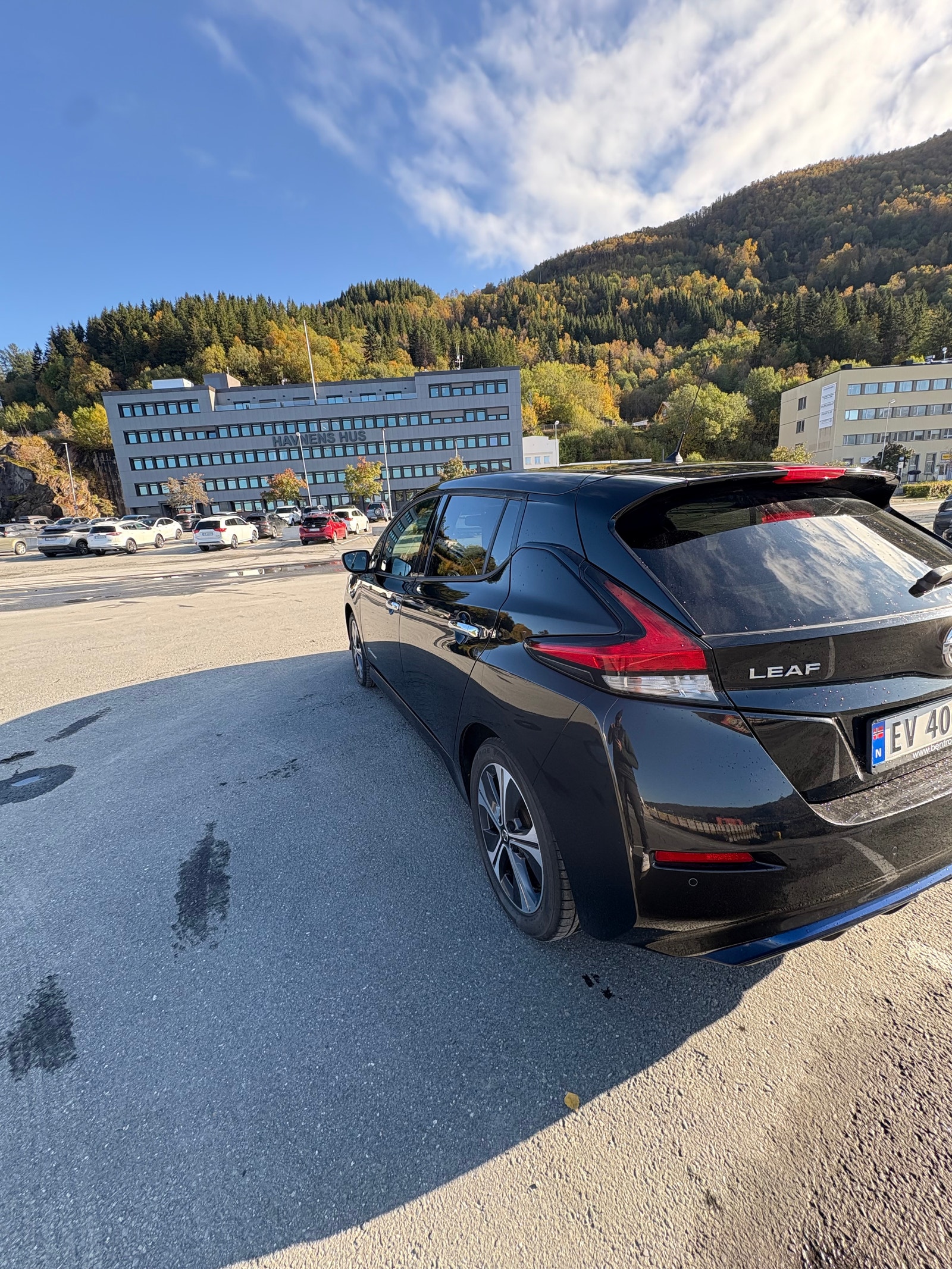 Nissan Leaf, 150ps, 2019