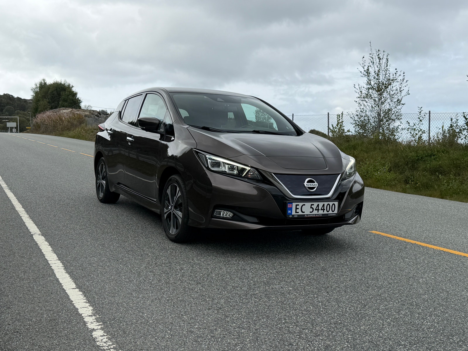 Nissan Leaf e+, 217ps, 2021
