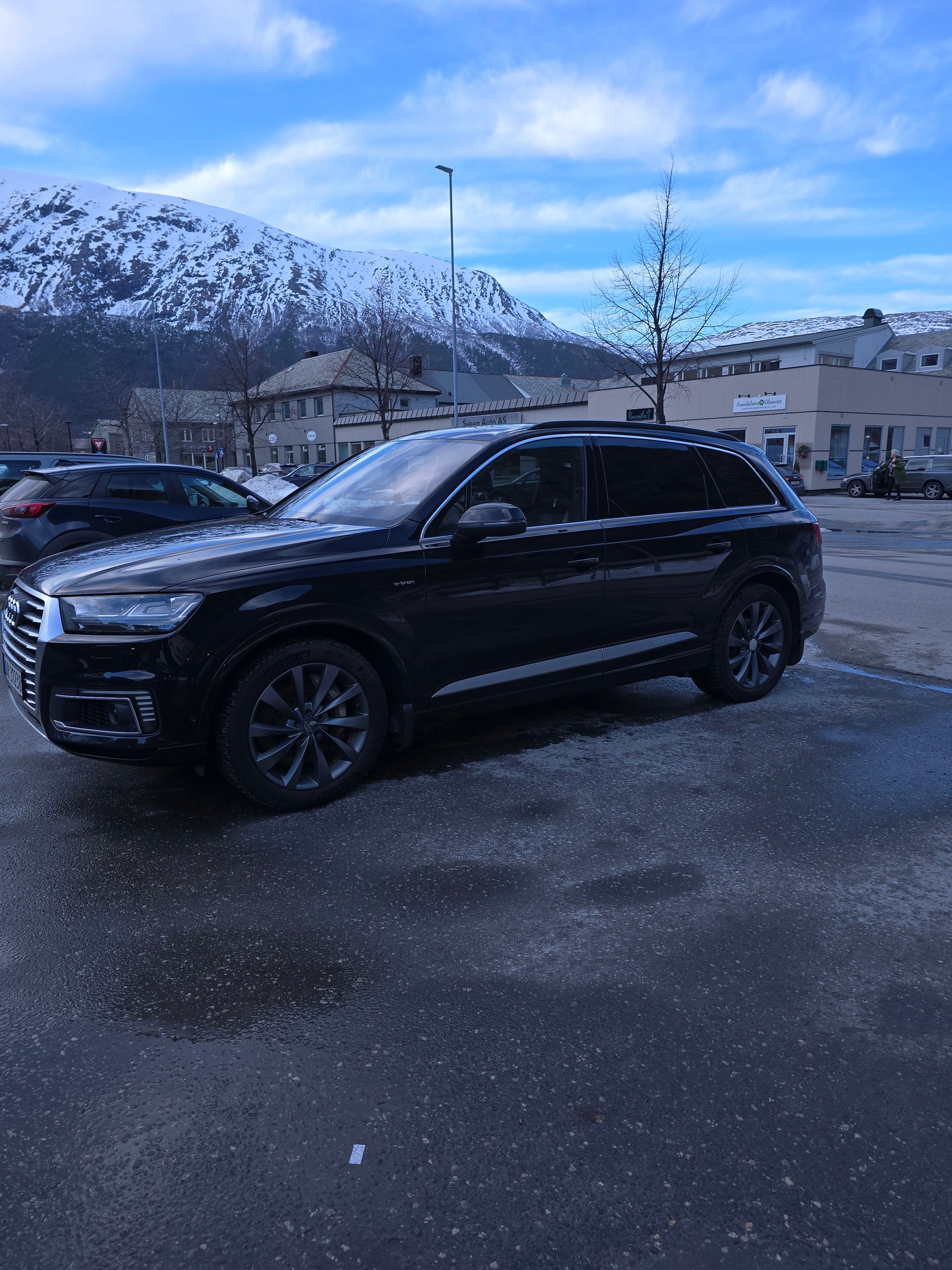 Audi Q7 e-Tron 3.0 TDI quattro TipTronic, 373hp, 2017