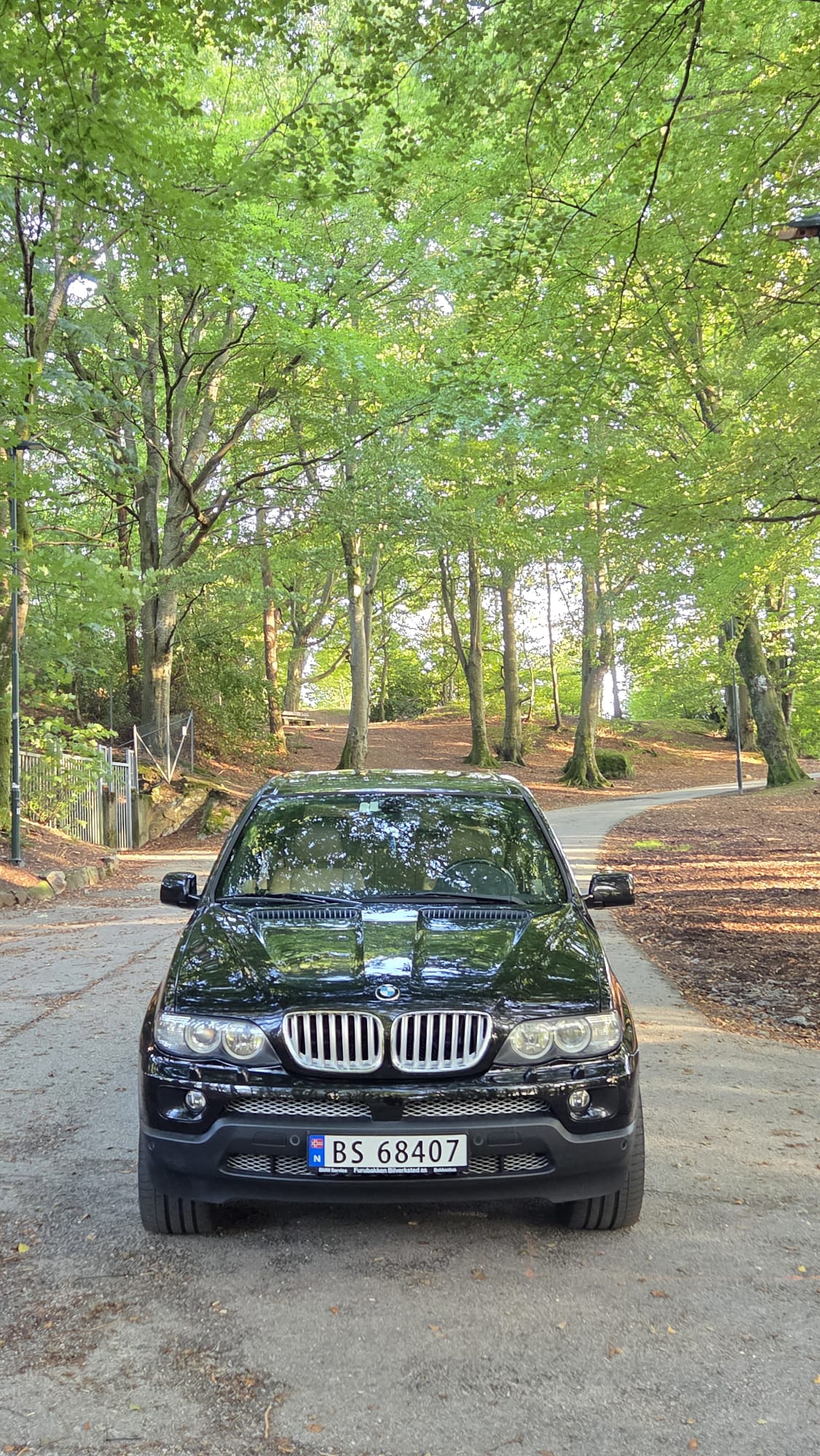 BMW X5 3.0d Automatic, 6-trins, 218ps, 2004
