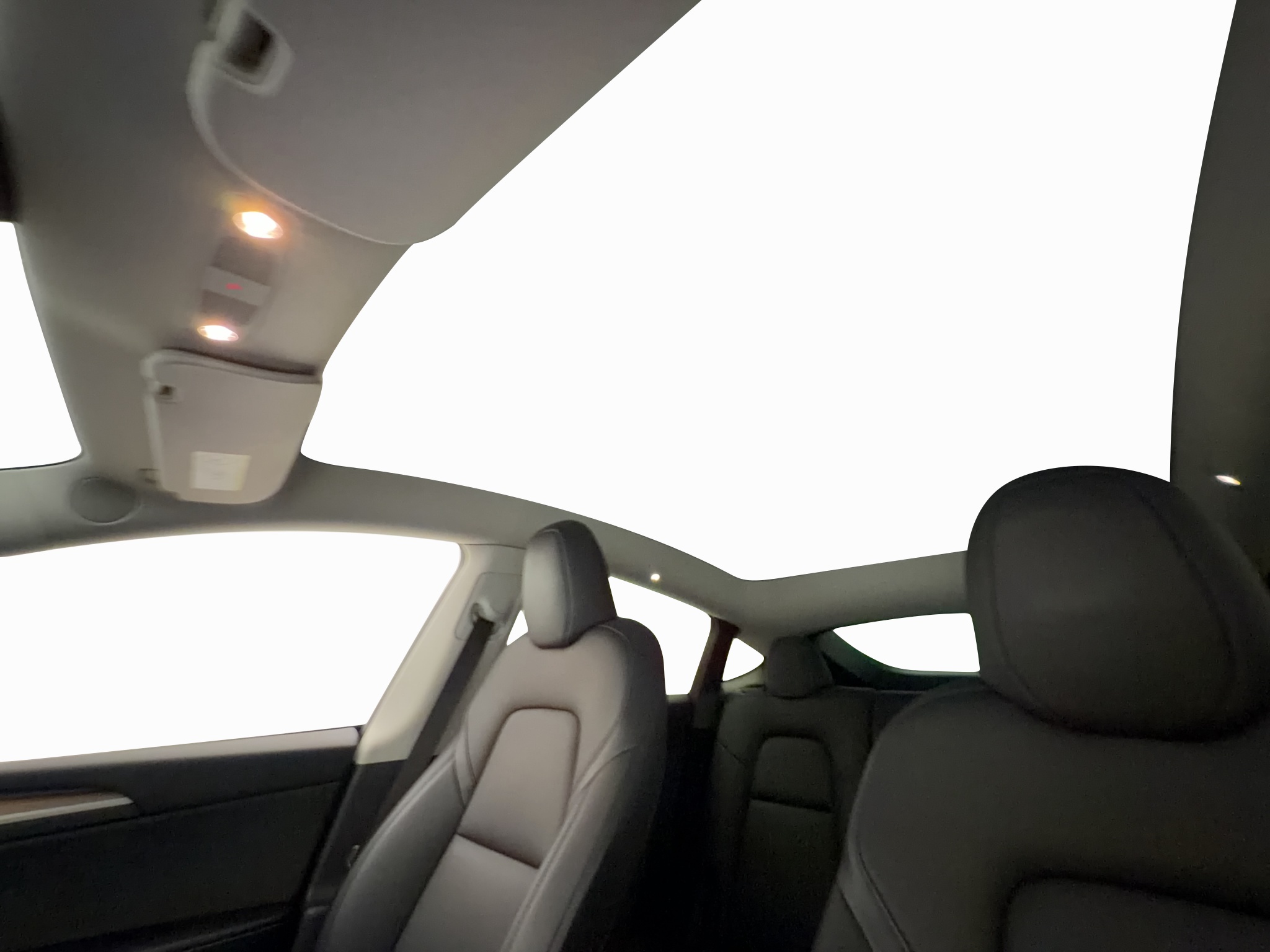 Tesla Model Y Performance, 534hk, 2023