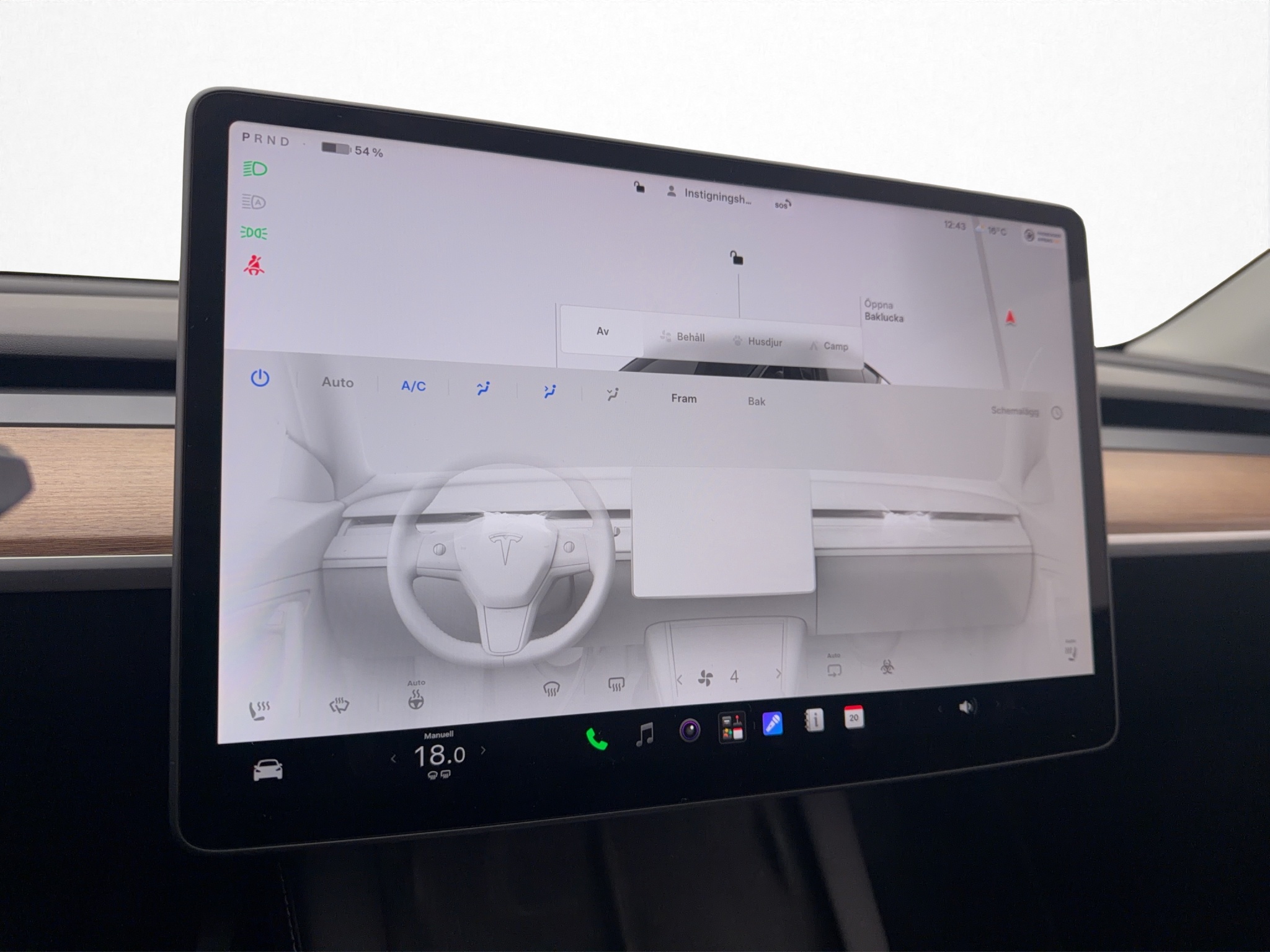 Tesla Model Y Performance, 534hk, 2023