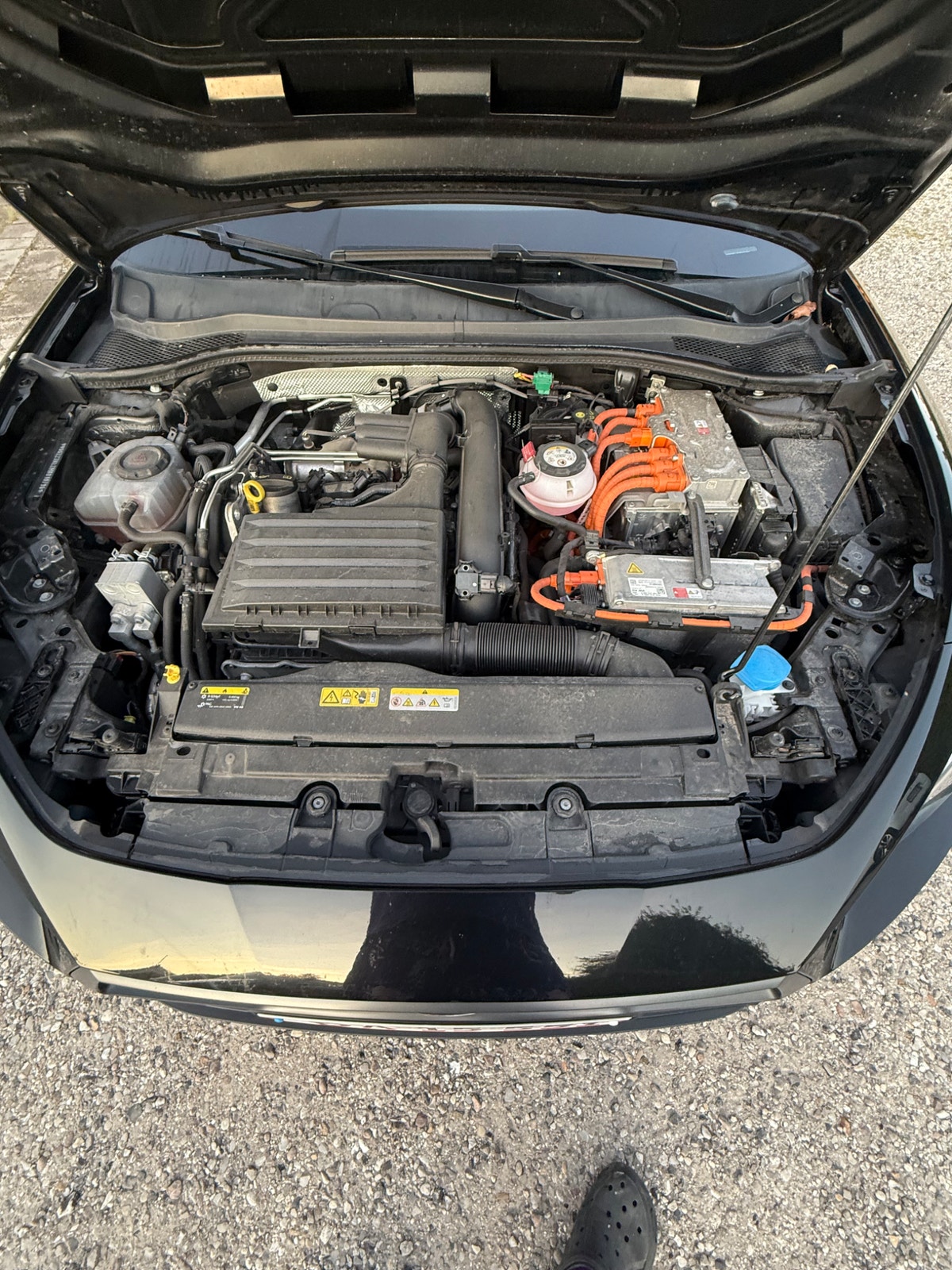 SEAT Leon e-Hybrid DSG Sequential, 6-trins, 204ps, 2021