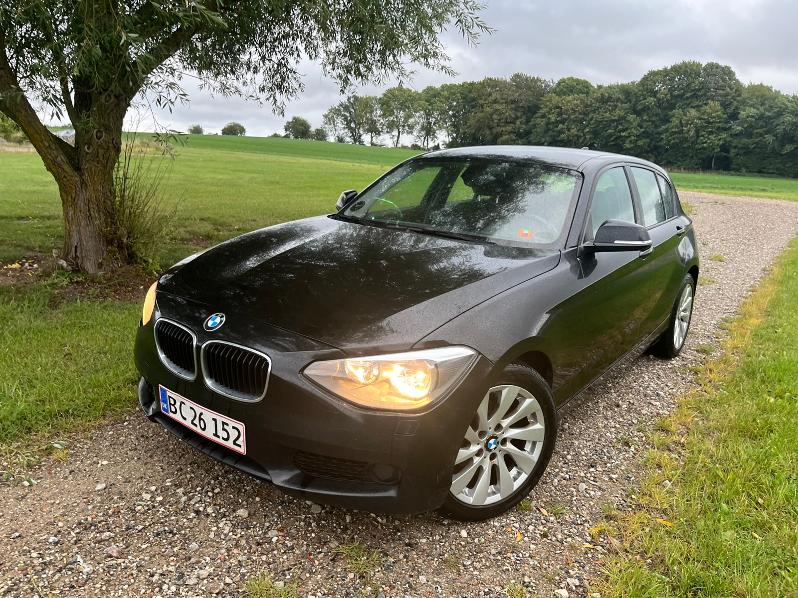 BMW 116d 5-door Manual, 6-trins, 116ps, 2013