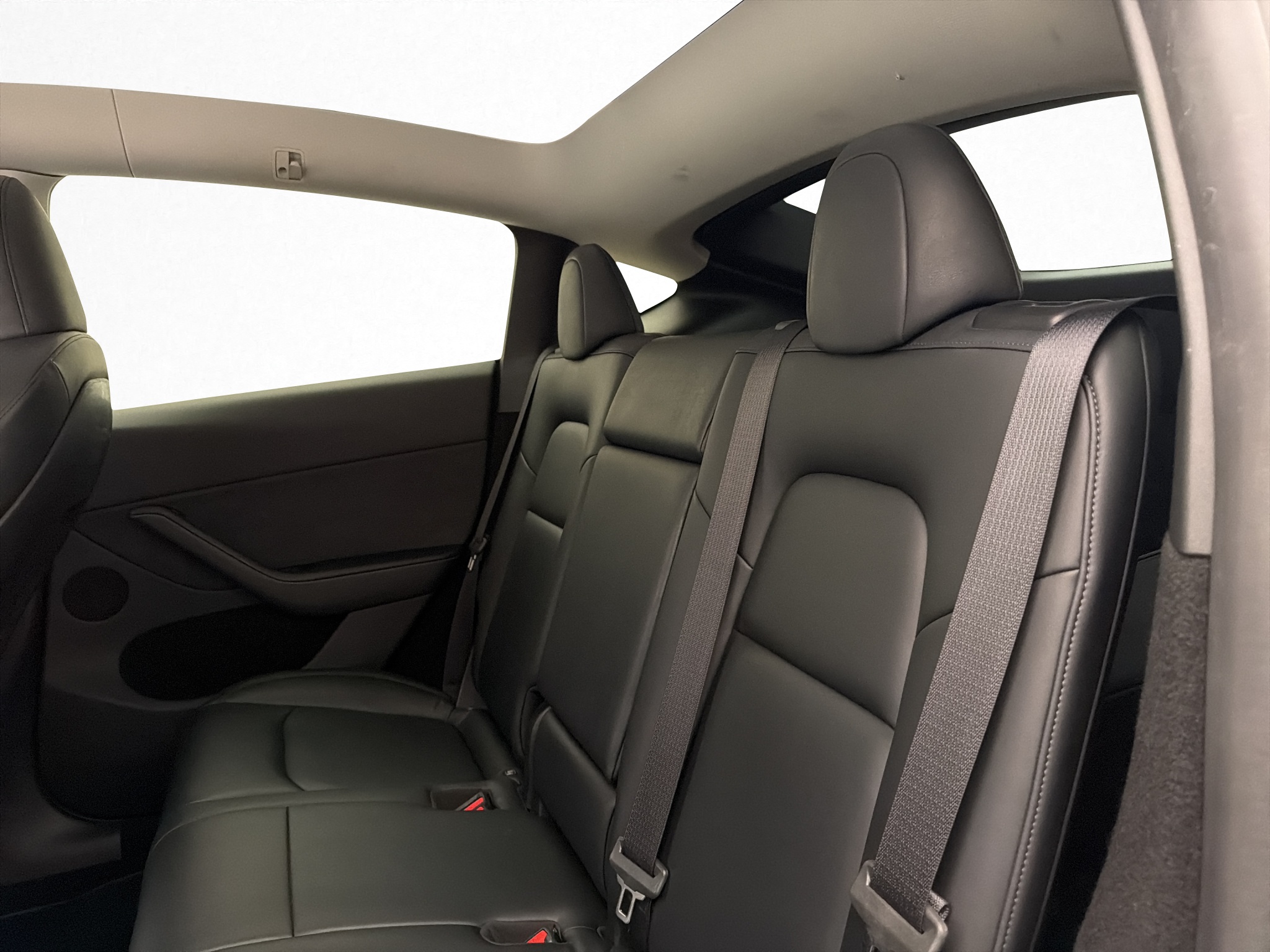 Tesla Model Y Performance, 534hp, 2023
