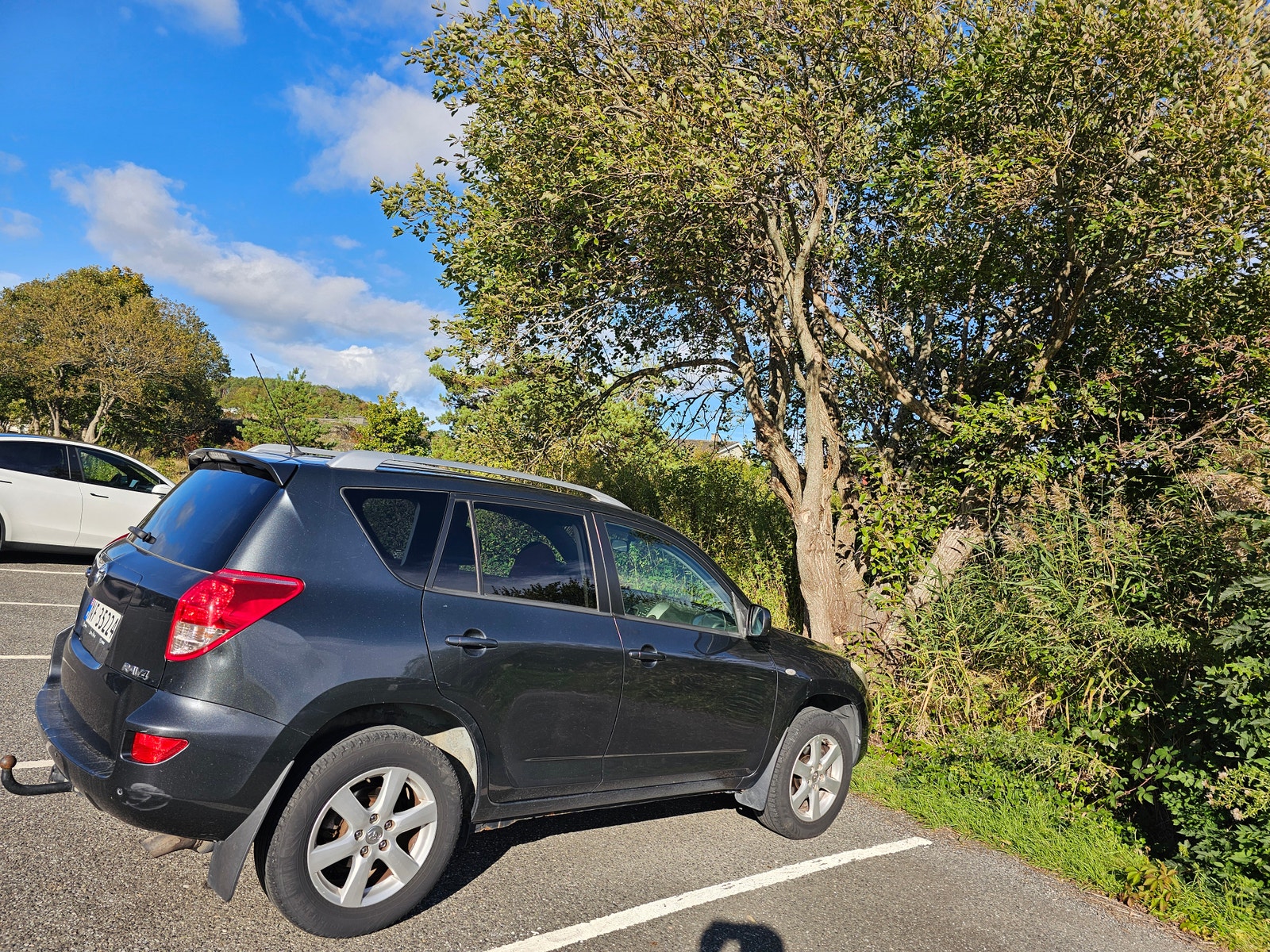 Toyota RAV4 2.0 VVT-i 4x4 Automatic, 4-trins, 152ps, 2008