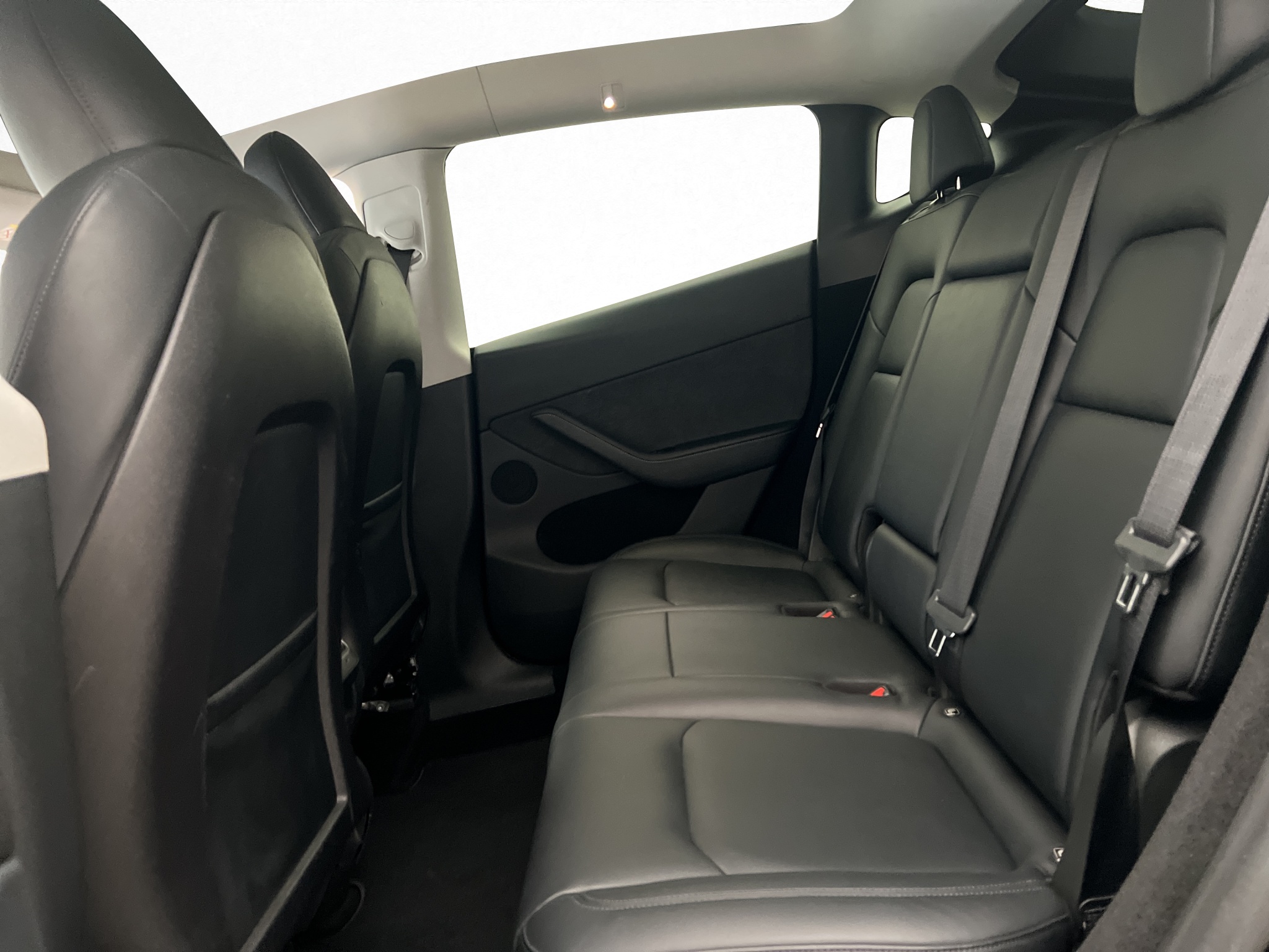 Tesla Model Y Long Range AWD, 514hp, 2023