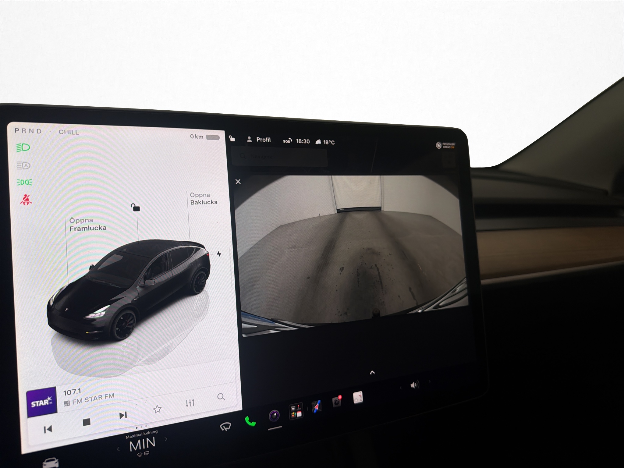 Tesla Model Y Performance, 534ps, 2022