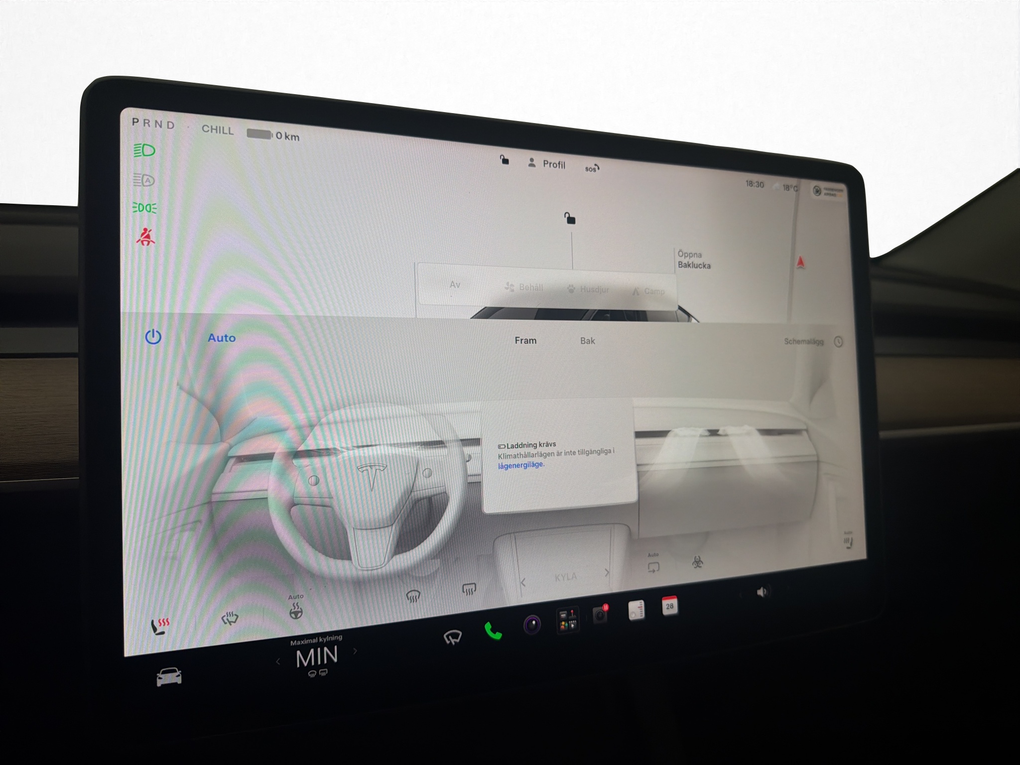 Tesla Model Y Performance, 534ps, 2022