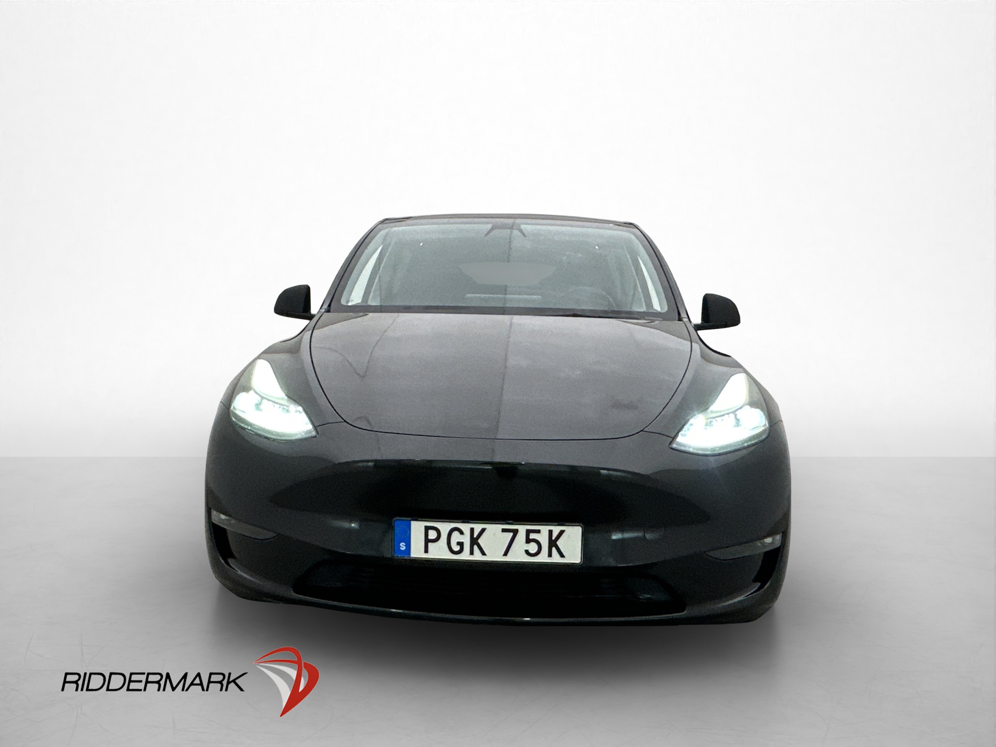 Tesla Model Y Performance, 534ps, 2022