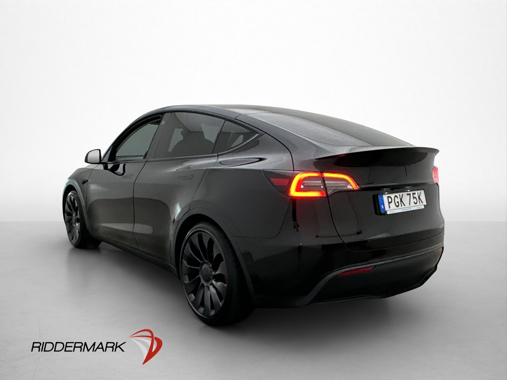 Tesla Model Y Performance, 534ps, 2022