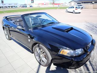 Ford Mustang V8 4.6l 265hk Cab Jubileums Modell Skinn 2004